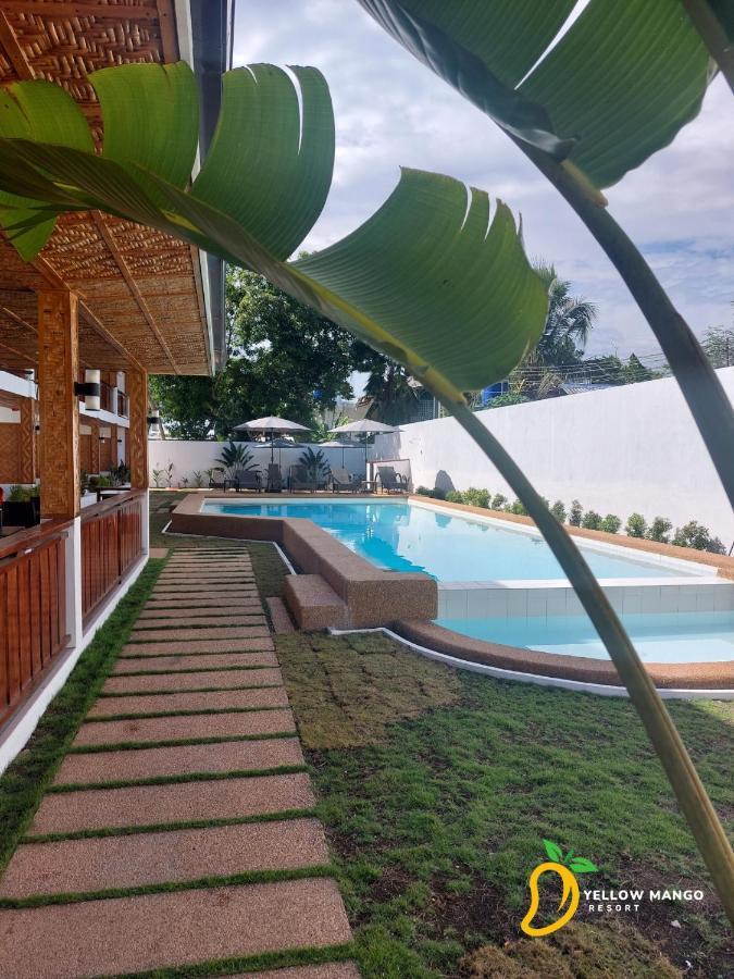Yellow Mango Resort Bohol Panglao Exteriér fotografie